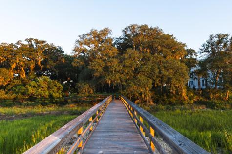 128 Etta Way Daniel Island SC 29492