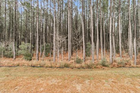 245 Summer Tanager Drive Summerville SC 29485