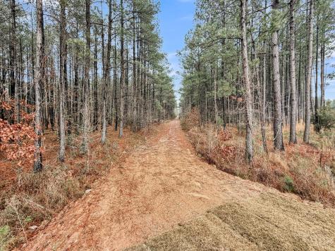 245 Summer Tanager Drive Summerville SC 29485