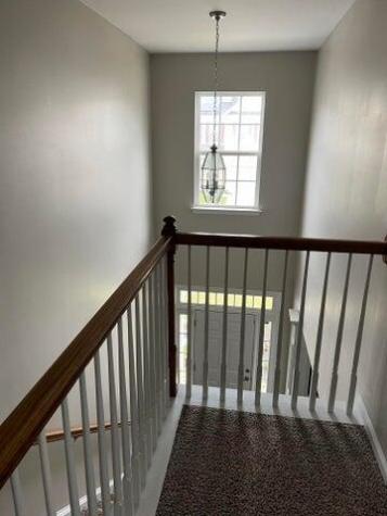 5007 Whitfield Court Summerville SC 29485