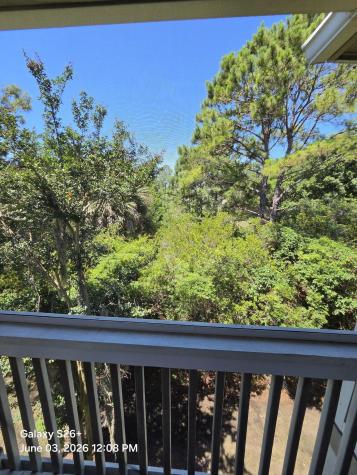 1600 Long Grove Drive Mount Pleasant SC 29464
