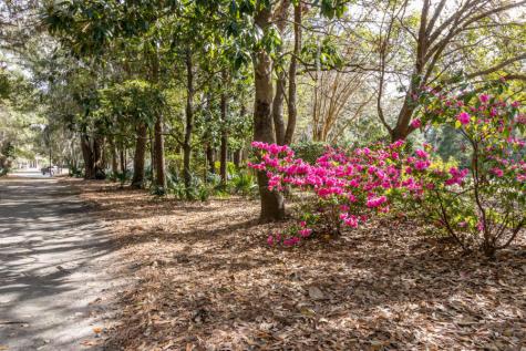 1600 Long Grove Drive Mount Pleasant SC 29464