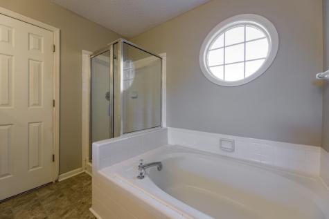 386 Jardinere Walk Mount Pleasant SC 29464