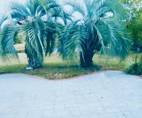 386 Jardinere Walk Mount Pleasant SC 29464