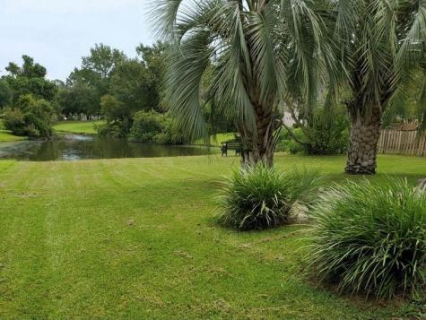 386 Jardinere Walk Mount Pleasant SC 29464
