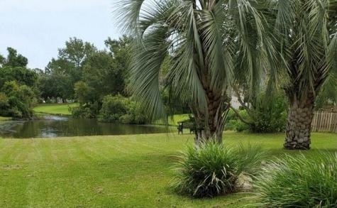 386 Jardinere Walk Mount Pleasant SC 29464