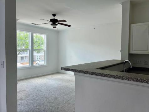 130 River Landing Drive Daniel Island SC 29492