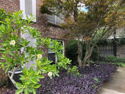 811 Colony Drive Charleston SC 29407