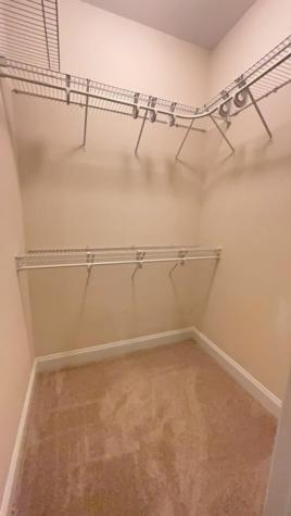121 Steeple Point Court Summerville SC 29485
