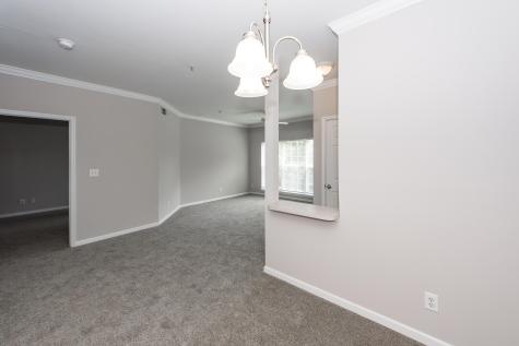 700 Daniel Ellis Drive Charleston SC 29412