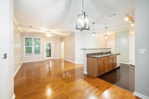 300 Bucksley Lane Charleston SC 29492