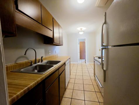 100 Dootsie Court Summerville SC 29485
