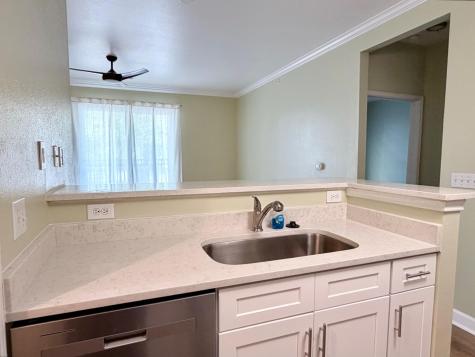 130 River Landing Drive Daniel Island SC 29492