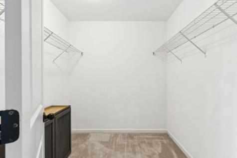 6530 Pepper Grass Trail Ravenel SC 29470