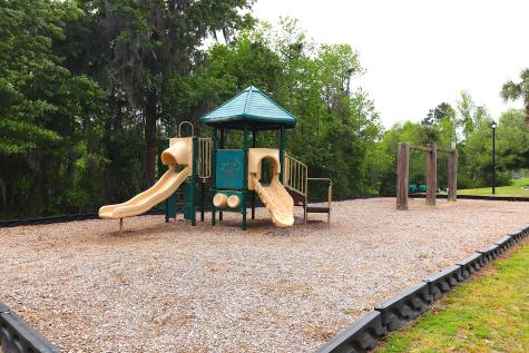 220 Lazy River Lane Moncks Corner SC 29461