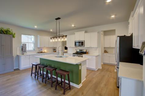 137 Paddle Boat Way Summerville SC 29485