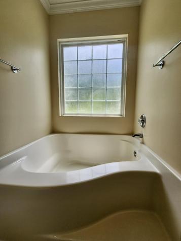 1375 Hopton Circle Mount Pleasant SC 29466