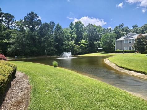 1375 Hopton Circle Mount Pleasant SC 29466