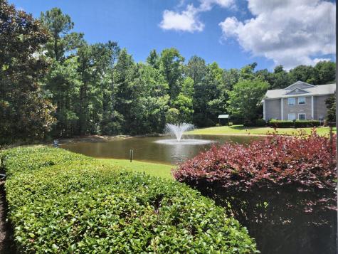 1375 Hopton Circle Mount Pleasant SC 29466