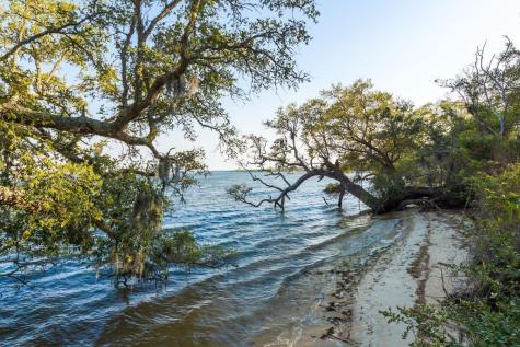 130 River Landing Drive Daniel Island SC 29492