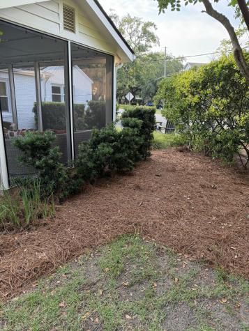 10 William Street Mount Pleasant SC 29464