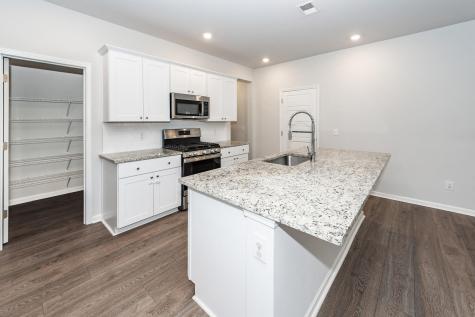 185 Camellia Bloom Drive Moncks Corner SC 29461