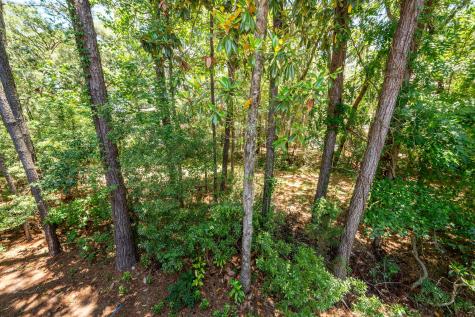 1412 Widows Court Johns Island SC 29455