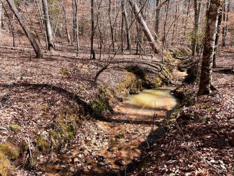 0 Tom Young Bridge Road Iva SC 29655