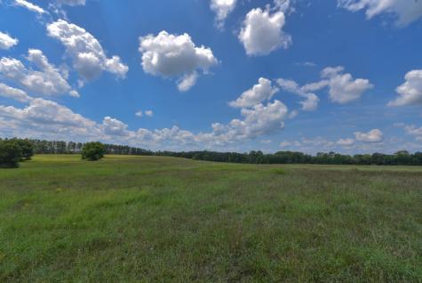 440 Mt Carmel Road Abbeville SC 29620