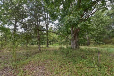 440 Mt Carmel Road Abbeville SC 29620