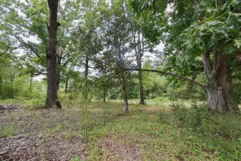 440 Mt Carmel Road Abbeville SC 29620