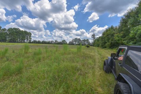 440 Mt Carmel Road Abbeville SC 29620