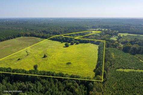 440 Mt Carmel Road Abbeville SC 29620