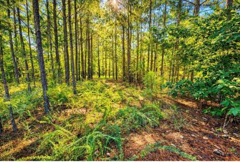 511 Terrapin Pointe Road Hodges SC 29653