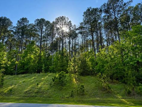 729 Eagles Harbor Drive Hodges SC 29653