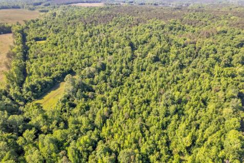 77 Hemlock Clinton SC 29325