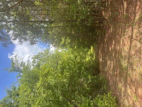 77 Hemlock Clinton SC 29325