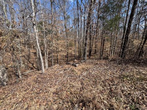 152 Acre Stone Gate Farm Road (Unrestricted) Donalds SC 29638