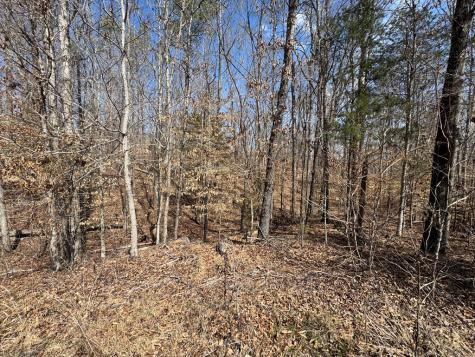 152 Acre Stone Gate Farm Road (Unrestricted) Donalds SC 29638