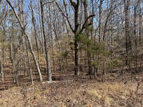 152 Acre Stone Gate Farm Road (Unrestricted) Donalds SC 29638