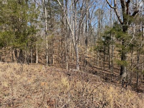 152 Acre Stone Gate Farm Road (Unrestricted) Donalds SC 29638