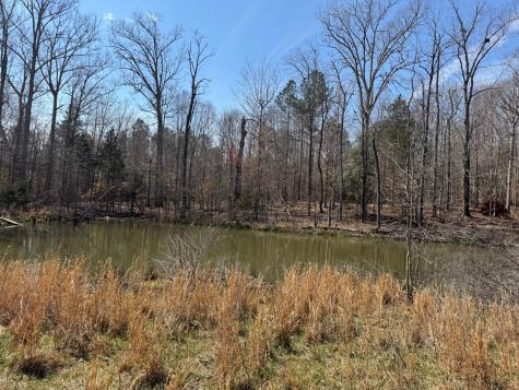 152 Acre Stone Gate Farm Road (Unrestricted) Donalds SC 29638