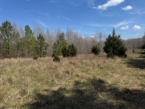 152 Acre Stone Gate Farm Road (Unrestricted) Donalds SC 29638