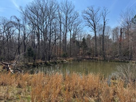 152 Acre Stone Gate Farm Road (Unrestricted) Donalds SC 29638