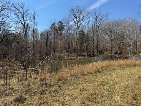 152 Acre Stone Gate Farm Road (Unrestricted) Donalds SC 29638