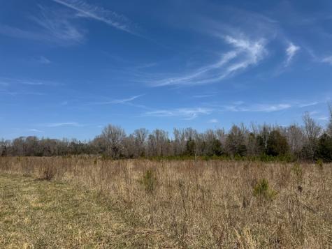 152 Acre Stone Gate Farm Road (Unrestricted) Donalds SC 29638