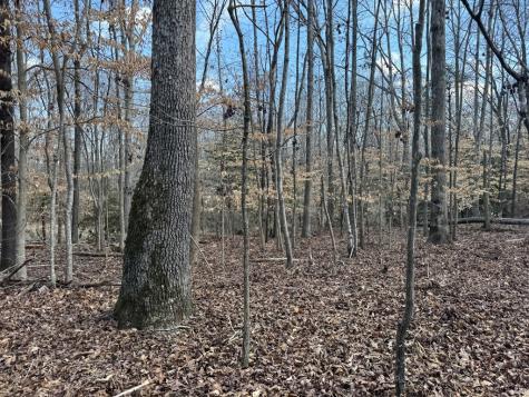 152 Acre Stone Gate Farm Road (Unrestricted) Donalds SC 29638