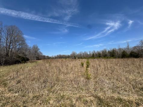 152 Acre Stone Gate Farm Road (Unrestricted) Donalds SC 29638