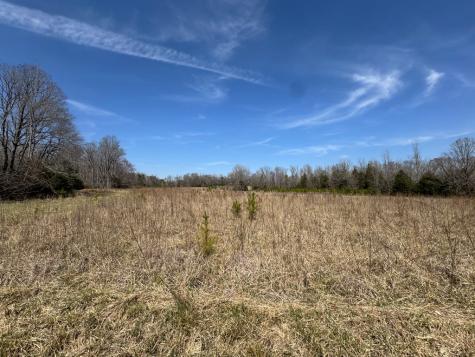 152 Acre Stone Gate Farm Road (Unrestricted) Donalds SC 29638