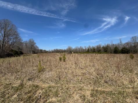 152 Acre Stone Gate Farm Road (Unrestricted) Donalds SC 29638